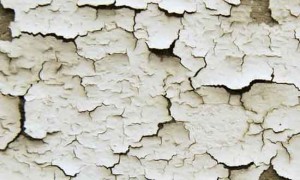 Peeling Paint Isn't Good for a First Impression | Prepare Youre Home to Sell | First Time Home Buyer Calgary
